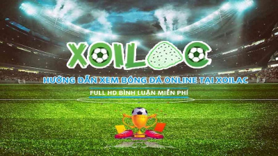 Xoilac-lich-euro.info - Nền tảng trực tiếp Euro đẳng cấp hàng đầu khu vực